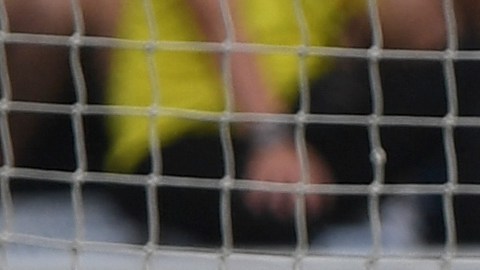 David Ospina