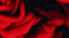 Carolina Laursen y David Chocarro