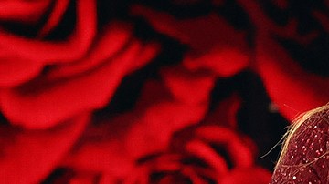 Carolina Laursen y David Chocarro