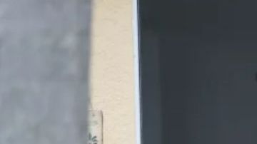 El prometido de Gabby Petito era vigilado por la policía de North Port cuando desapareció