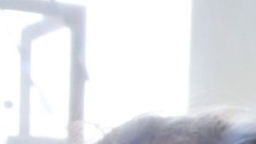 Protectores contra estornudos