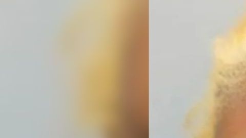 La madre de los niños abandonados en Texas no sabía que su hijo llevaba un año muerto