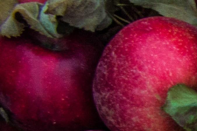 Día Nacional de las manzanas