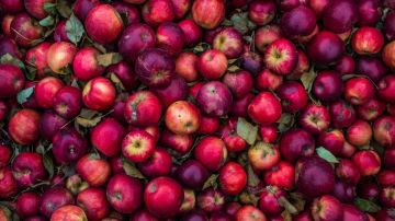 Día Nacional de las manzanas