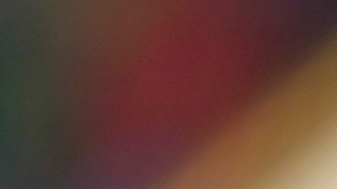 Eduardo Berizzo con Paraguay