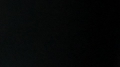 Entrenador del Celta de Vigo realiza insólita queja