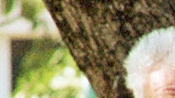 Diego Maradona y Guillermo Coppola