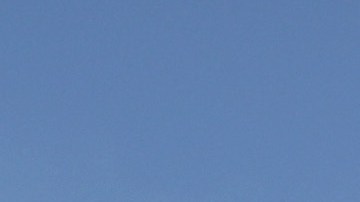 U.S. Customs And Border Protection Agents Train For Possible Immigrant Caravan