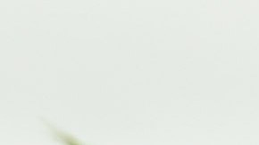 Kruger National Park