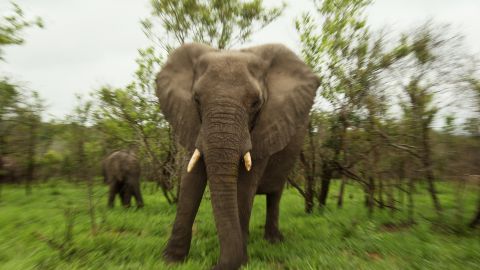 Kruger National Park