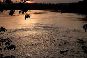 Activistas se unen en la frontera México-EEUU para limpiar el río Bravo