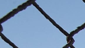 Border Wall Funding The Focus Of Continued Partial Government Shutdown