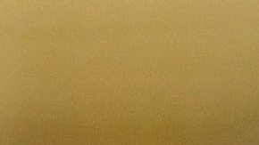 Se dice que Gene Simmons ha decido invertir en Nevada