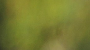 FBI se suma a la búsqueda de joven de 19 años desaparecida desde hace casi una semana en Florida