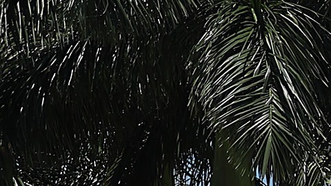 Condado de Mimami-Dade