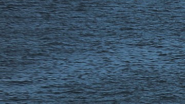 guarda costas estados unidos