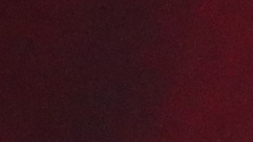 José Luis Rodríguez