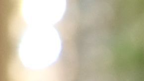 Fotos: Mira la mansión que Renée Zellweger logró vender en menos de dos semanas