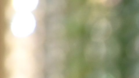 Fotos: Mira la mansión que Renée Zellweger logró vender en menos de dos semanas