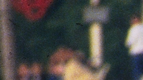 Estudiante de secundaria en Illinois, muere al caer de una carroza en el desfile de bienvenida