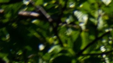 Corte Suprema de Estados Unidos