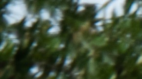 Men Charged With Murder Of Ahmaud Arbery Appear In Brunswick Court