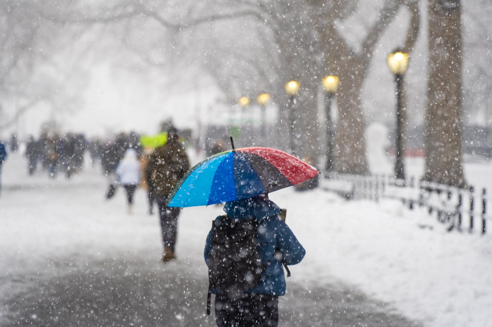 temperatura en new york en grados fahrenheit