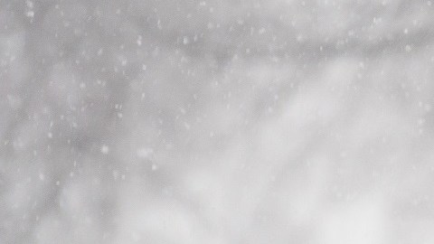 La temporada pasada, EE.UU. tuvo 26 tormentas de nieve.
