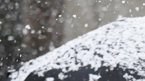 Nieve en Nueva York, febrero 2021.
