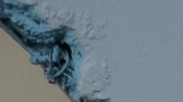 Daniel Ortega Nicaragua