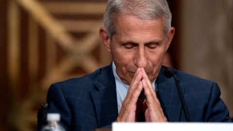 Anthony Fauci