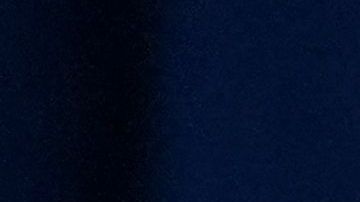 Ned Price Departamento de Estado