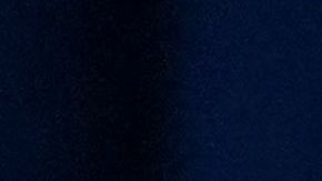 Portavoz del Departamento de Estado, Ned Price