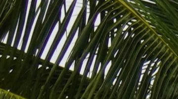 MEXICO-TROPICAL-STORM-OLAF