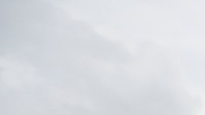 Busqueda Brian Laundrie