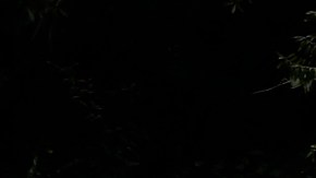 Busqueda Brian Laundrie Florida