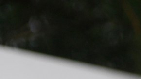 Fundación Gabby Petito