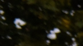 Gabby Petito's Hometown Of Blue Point, Long Island Mourns Her Death