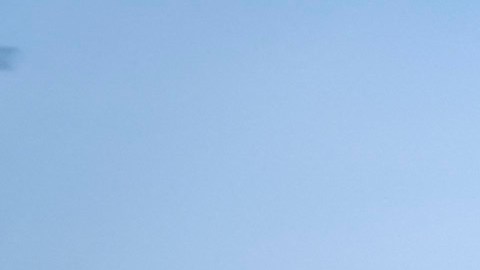 Portugal millonario alijo cocaina