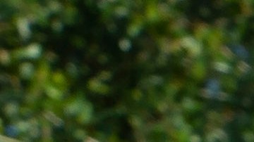 Restos Brian Laundrie