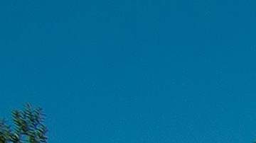 Muerte de Brian Laundrie