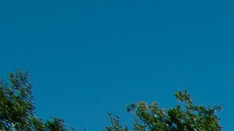 Muerte de Brian Laundrie