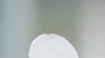 Asesinato de Alex Quiñónez