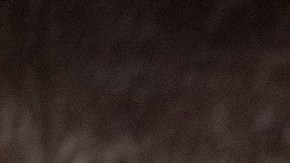 El senador Ron Wyden dio a conocer el proyecto de aumento de impuestos a los multimillonarios.