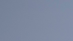 La Casa Blanca emitió documento contra la violencia de género