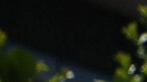 Reto de TikTok
