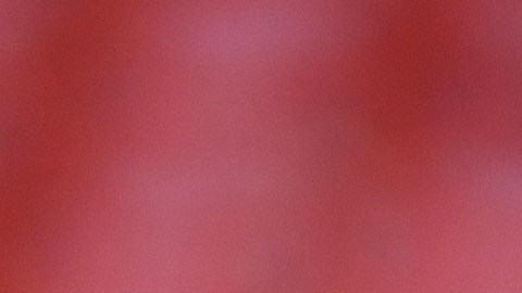 Luka Modric compró la propiedad a través de una agencia inmobiliaria
