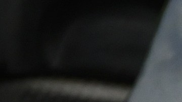 Lewis Hamilton y su perro