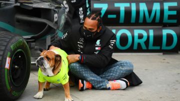 Lewis Hamilton y su perro