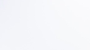 Activistas climáticos